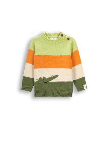 Strickpullover in bunt