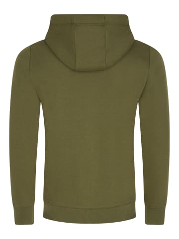 Sweatjacke DFLeo in Oliv