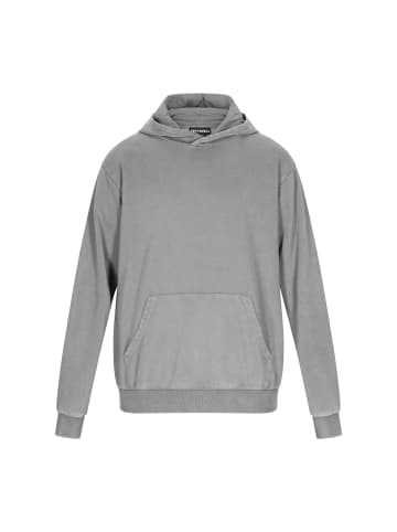 Men Sweatshirt in grey