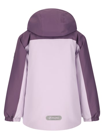 Ski-Jacke Arctic in 4411 Grape Compote