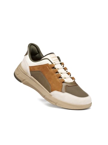 Sneakers Low Vittour Plus Man in bunt