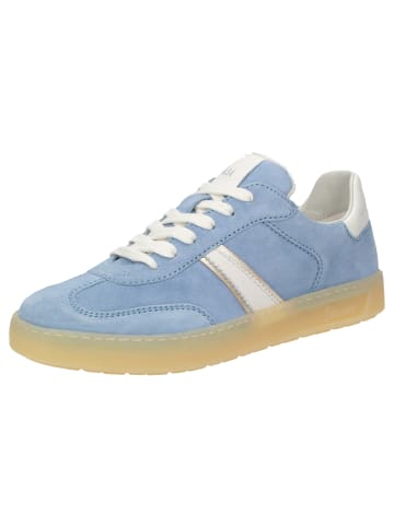 Sneaker Tedroso-DA-707 in hellblau