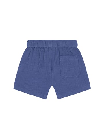 Shorts Regular Fit in Gray Blue