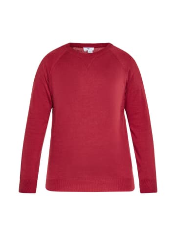 Herren Pullover in WEINROT