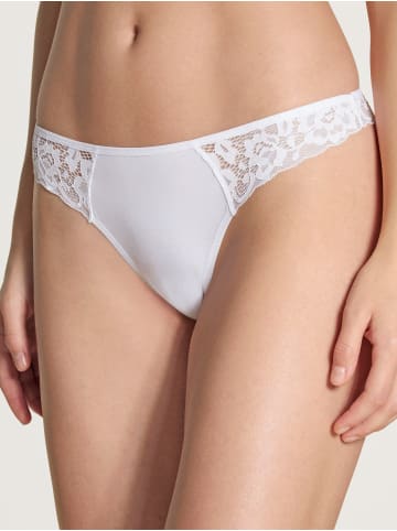 String in weiss