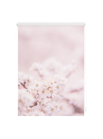 Seitenzugrollo in Rosa Weiß