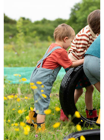 Dungaree Shorts in Navy