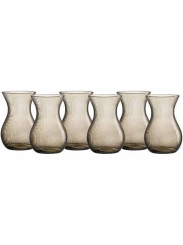 6er Set Vasen Rosalie in Smoke 18 cm