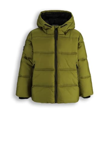 Gestepptes Winterjacke in olivgrün