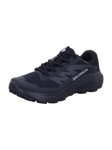 Wanderschuhe Schuhe ALPHAGLIDE GTX Black/Asphal/ in Schwarz