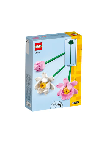 Botanicals 40647 Lotusblumen
