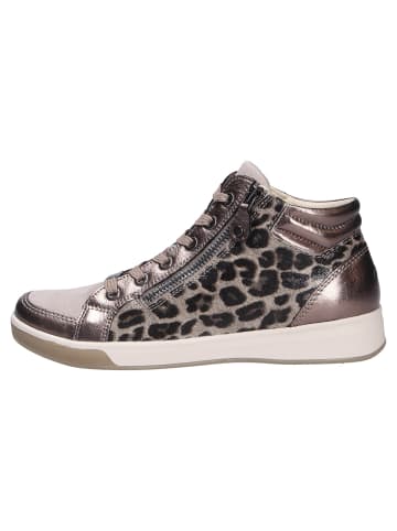 Schnürschuh ROM