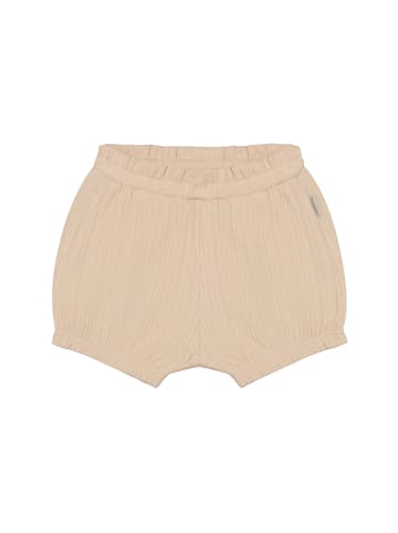 Shorts in Sun Kiss
