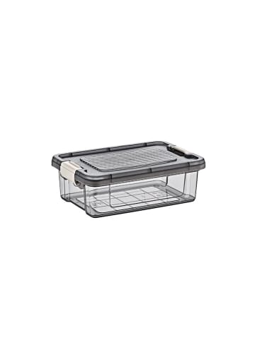Lagerbox Aufbewahrungsbox mit Verschluss-Deckel Serie in Grau