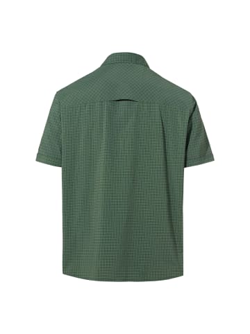 Seiland Shirt IV in Grün
