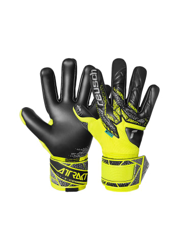 Torwarthandschuhe Attrakt Gold X NC in 2025 safe yell/silver/black