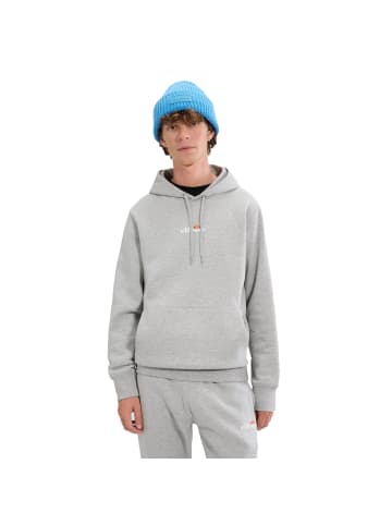 Sweatshirt in Hellgrau