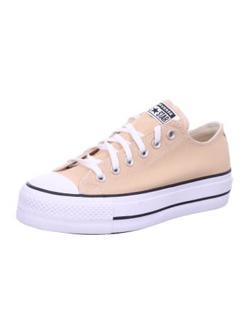 Damen- Schnürschuhe  in Beige