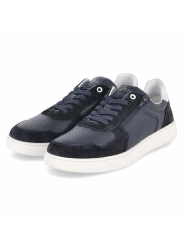 Low Sneaker TERTULIO in blau