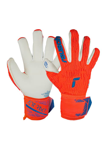 Torwarthandschuh Attrakt Gold X Freegel in 2210 hyper orng/elec blue