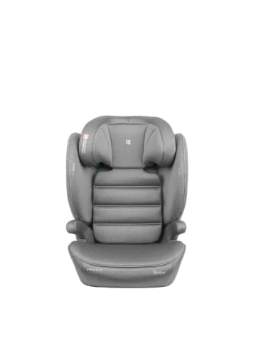 i-Track Isofix (100-150 cm) in grau