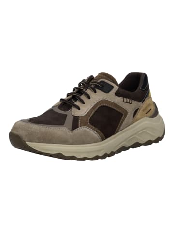 Sneaker Davie 03 in braun