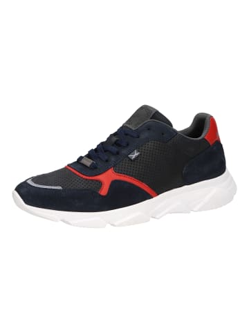 Sneaker Dunkelblau