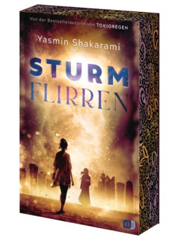 Buch - Sturmflirren