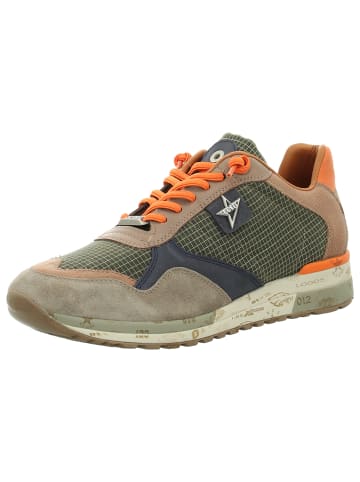 Sneaker Low in grün