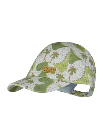 Basecap Dinosaurier in silber