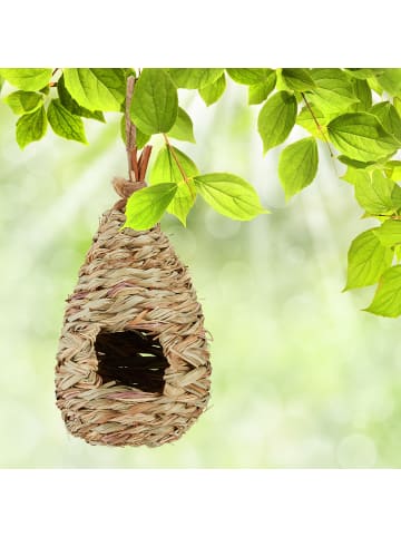 Vogelnest in Natur