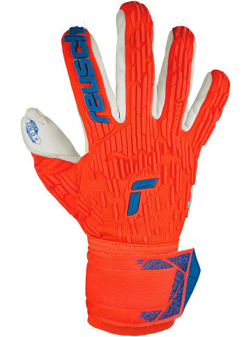 Torwarthandschuh Attrakt Gold X Freegel in 2210 hyper orng/elec blue