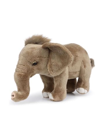 Plüschtier Elefantenbaby (stehend, 18cm) in grau