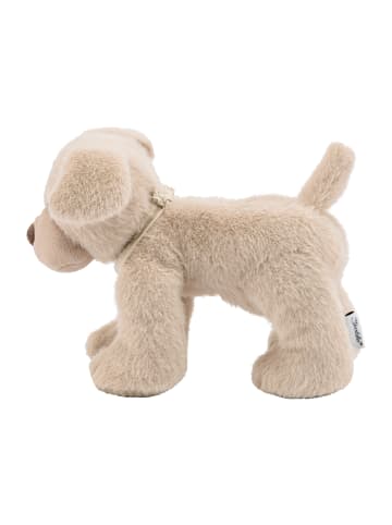 Kuscheltier M HUND Lucky in natur