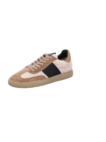 Sneaker Low in Braun