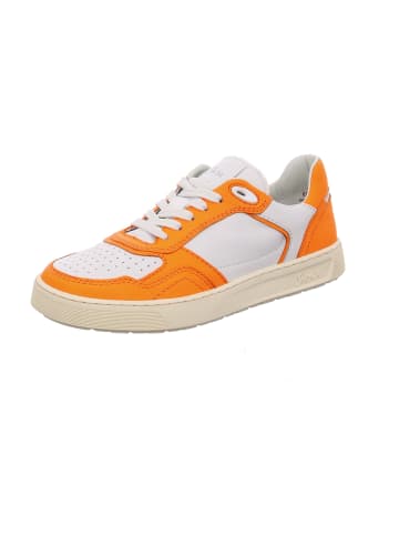 Sneaker Low in Weiß