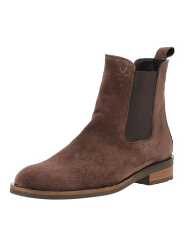 Stiefelette DARA 315 Dunkelbraun