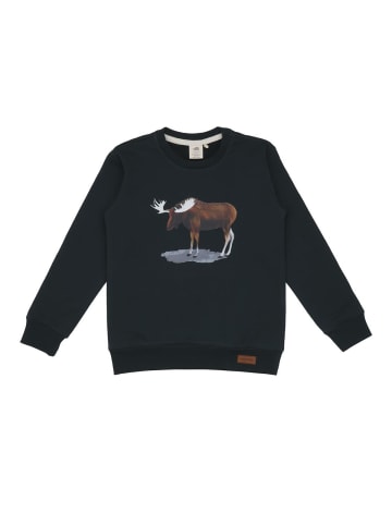 Sweatshirt Pullover-Sweatshirt aus Baumwolle (Bio)