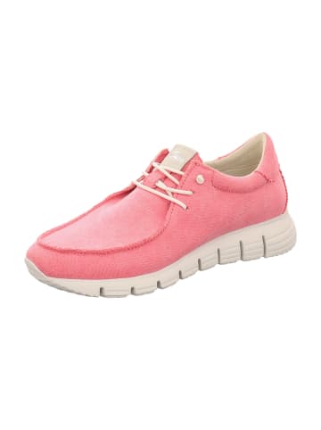 Sportliche Schnürschuhe in Pink