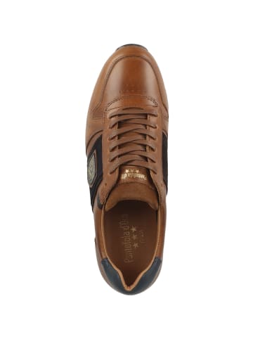 Sneaker low Sangano Low in braun