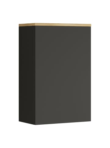 Hängeschrank Badregal Badmöbel Wandschrank Cosila in Anthrazit / Honig-Eiche