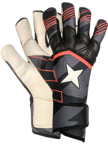 Torwarthandschuh "Aps Pro Grip V25" in Grau