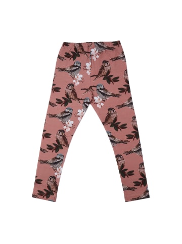 Leggings Owl Friends - Baumwolle (Bio)
