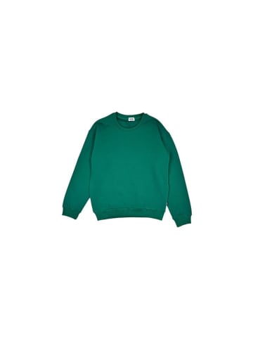 Sweatshirt 1525BA Grün