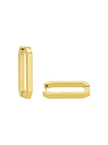 Creolen Edelstahl in Gold