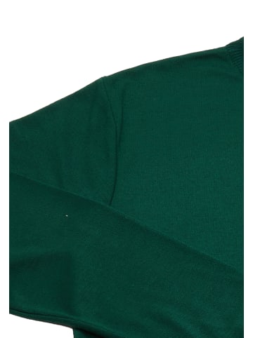 Herren Pullover in Grün