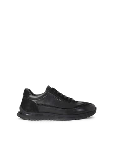 Sneaker Low  ALVIS in Schwarz