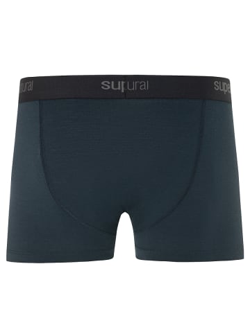 Merino Unterhosen M TUNDRA175 BOXER 2-PACK in blau