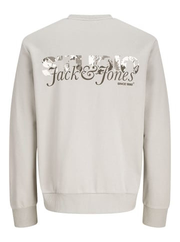 Sweatshirt in Moonbeam
