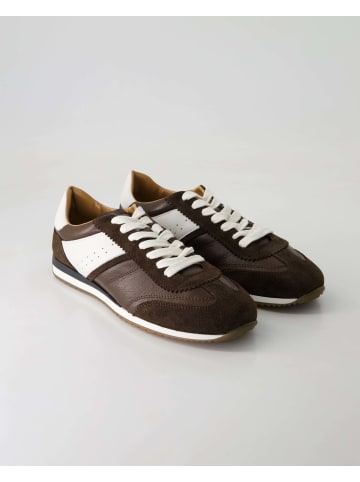 Klassische Schnürschuhe in Braun